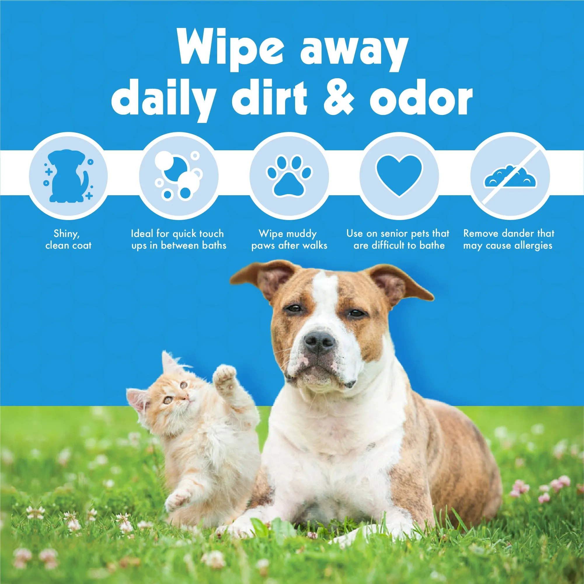 Big n Thick Oatmeal Pet Wipes(100 wipes)