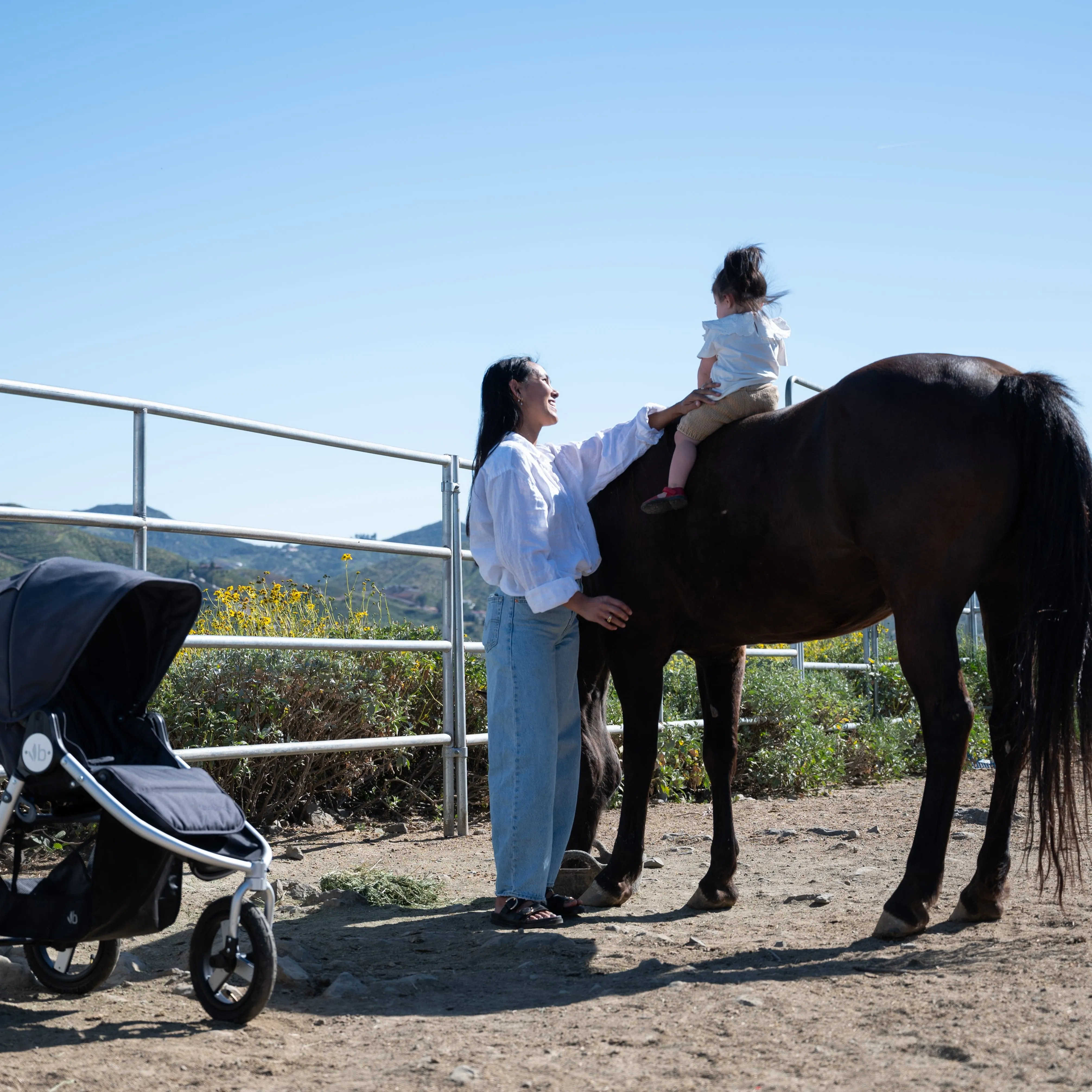 Bumbleride Indie Stroller